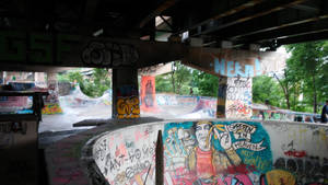 FDR SkatePark... from the top 