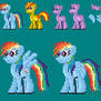 Rainbow Dash with Pony Base