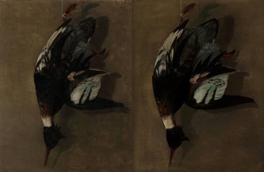 Franklin Brownell Master Study
