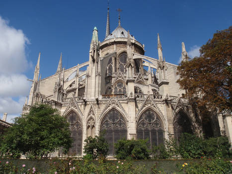 Notre dame 3