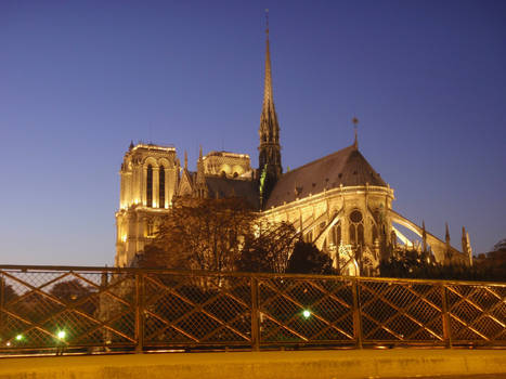 Notre dame at night