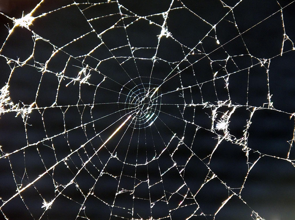 a tangled web by eRiQ