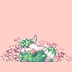 bush loaf