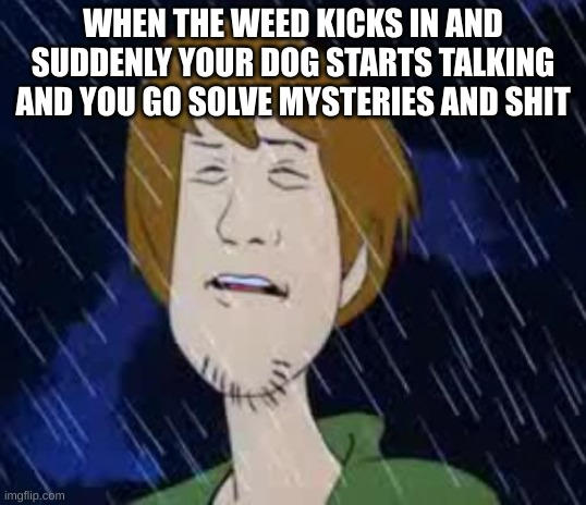 Shaggy meme 4 by Itznotbraver on DeviantArt