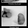 The Potato