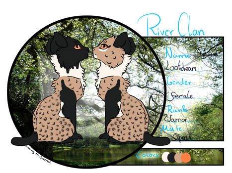 SIS |Lostdream| Warrior| Riverclan|Application