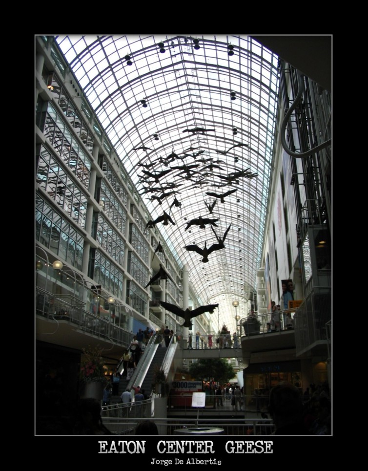 Eaton Center Geese