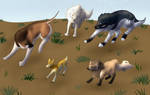 Hunt: Surround the prey by Berkelis