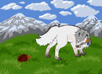 Why do you follow me by Berkelis