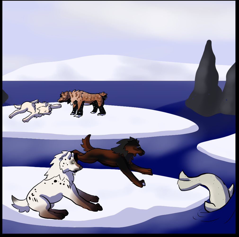 Seal Hunt 5