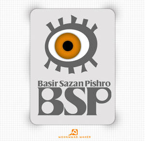 Logo BSP