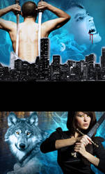 Vampire vs Shewolf Ebook Cover