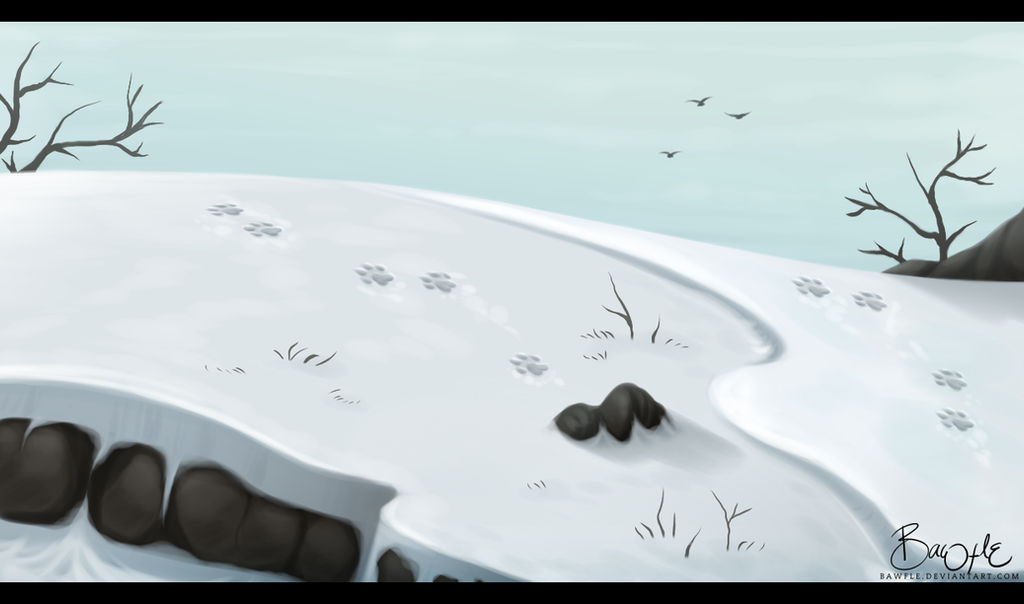 Let the snow blanket my little world