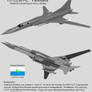 Tu-22M3L Profile