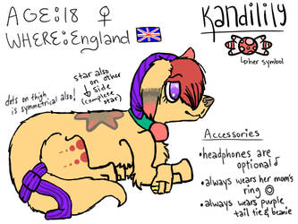 Kandilily Ref 2011