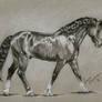 Charcoal pony