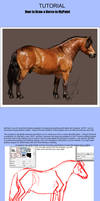 How To Draw a Horse in MyPaint