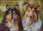 Collie Friends by Hei-La