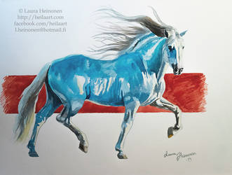 Blue Andalusian