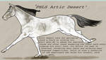 Artic by deeohtee