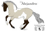 Alejandro by deeohtee