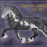 Cavitto Discovery ID 107