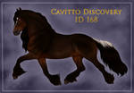 Cavitto Discovery 168 by ThatDenver