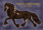 Cavitto Discovery 179 by ThatDenver