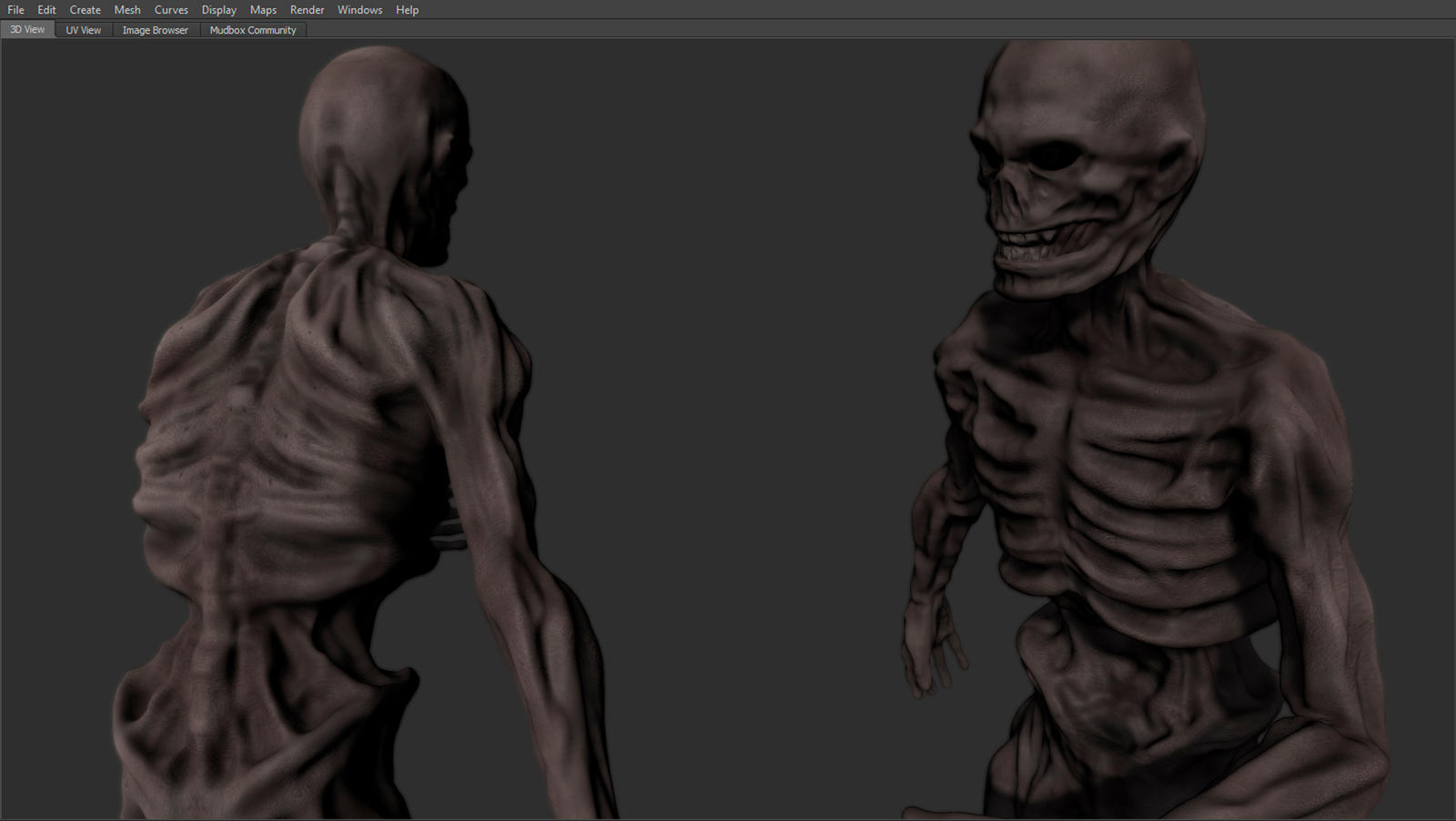 Skeleton - High Poly