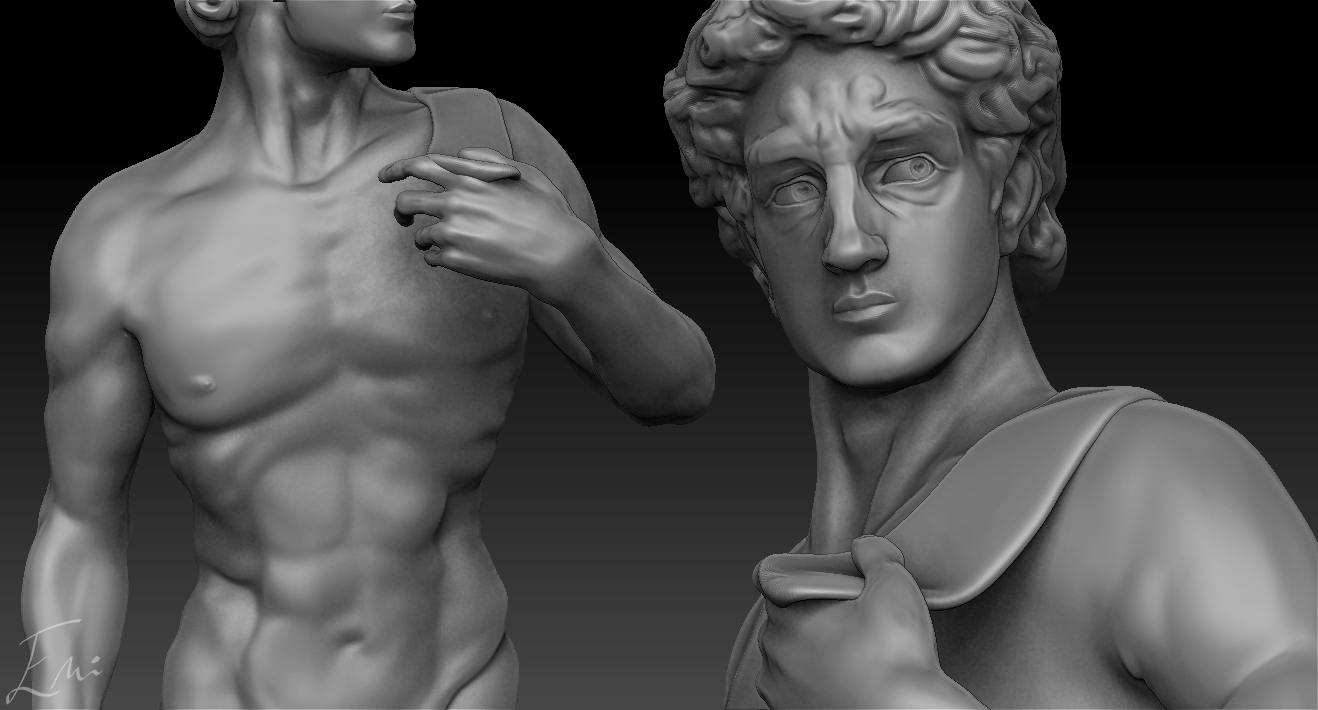 Michelangelo's David - Work in Progress