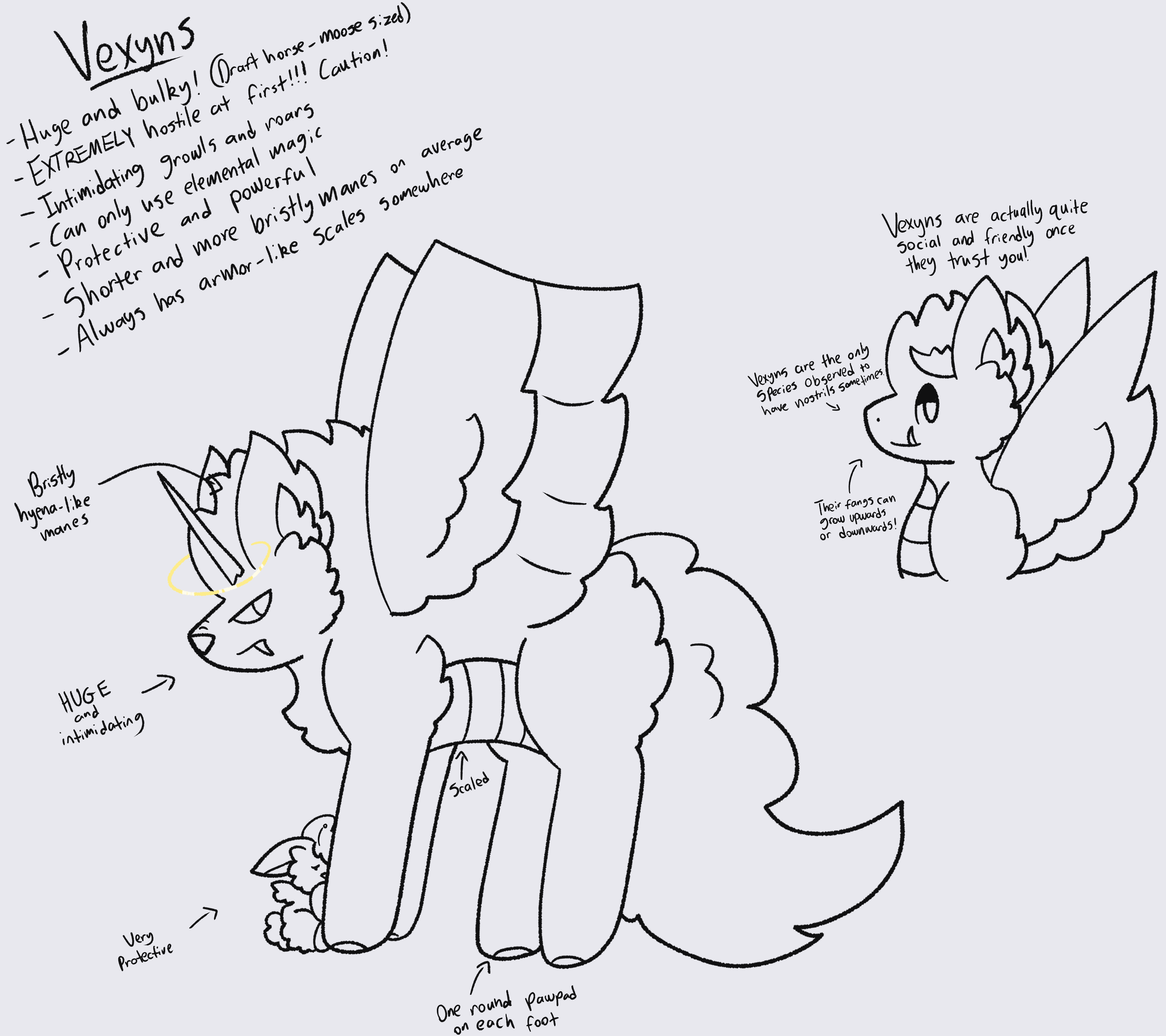 Vexyn Loreanatomy by KeyDemon