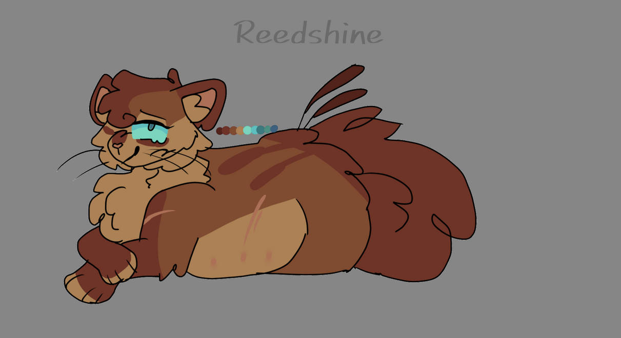 Deviantart Reedster Reedshine design by FloralMoonDraws on DeviantArt