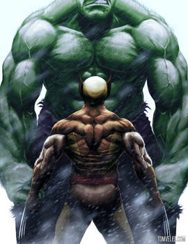 Hulk vs. Wolverine - Marvel 1