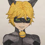 cat noir fanart