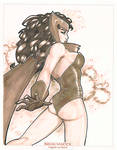 Scarlet Witch Pre Show Commission C2E2 2014 by BrianVander