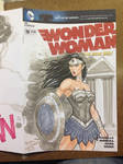 Wonder Woman C2E2 commission by BrianVander