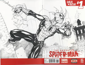 Spider-Man Sketch Cover by BrianVander