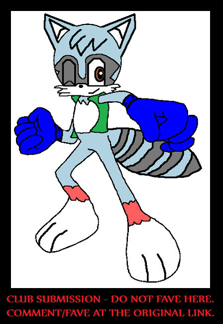 Racoon Riley Riley the Raccoon by CCNC by Diddy-Kong-Racing on DeviantArt