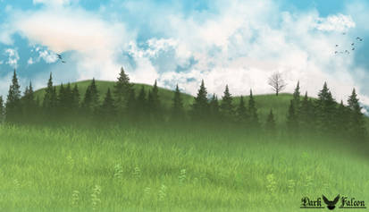 Landscape Practice : Hills