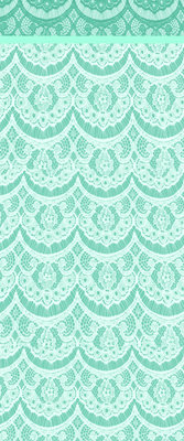 Custom Box BG- Teal Lace