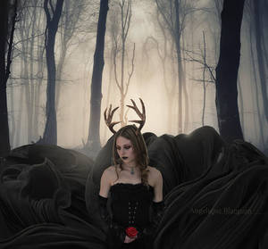 the red rose by Creamydigital the red rose by Creamydigital