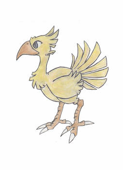 chocobo