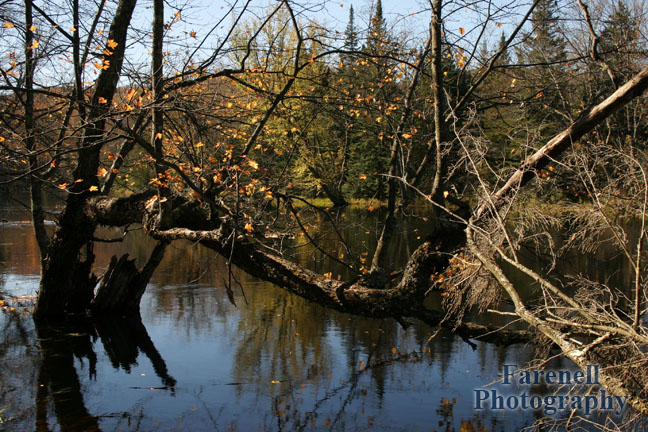 Racquette River Hike VI