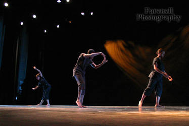 Dance Concert VIII