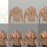 How To Draw Muscles