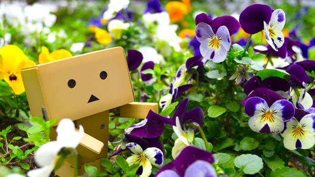 Explore The Best ダンボー Art Deviantart Explore The Best ダンボー Art Deviantart