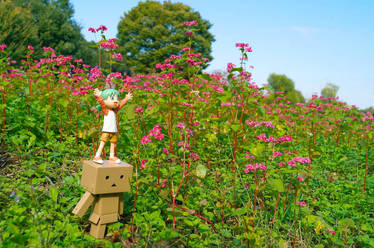 yotsubato danboard picnic day