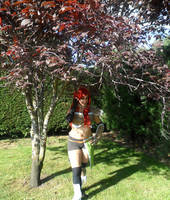 Erza Scarlet Flight armor Fairy Tail cosplay.