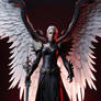 Black Winged female Angel and male With Dragon Win