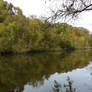 Grannys autumn pond